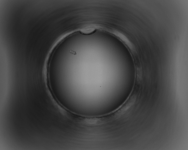 X0000100411046200806061337