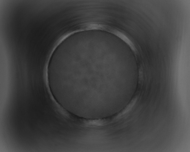 X0000100411047200806061337