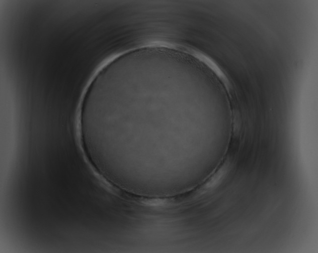 X0000100411048200806061337