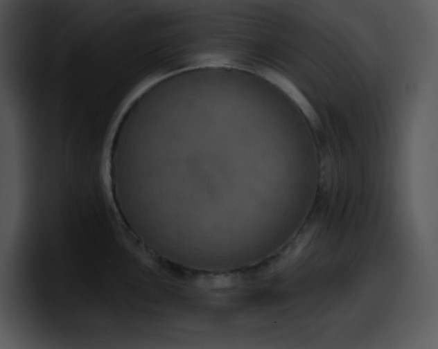 X0000100411051200806061337