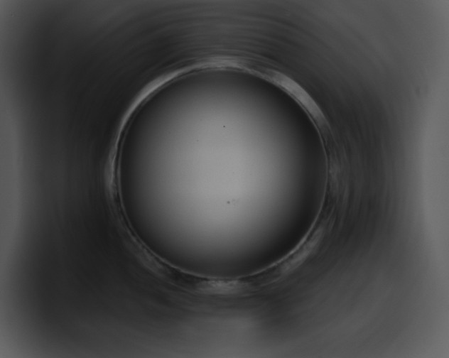 X0000100411052200806061337