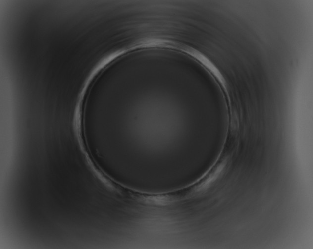 X0000100411053200806061337