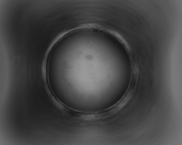 X0000100411054200806061337