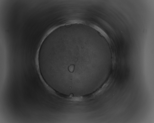 X0000100411055200806061337