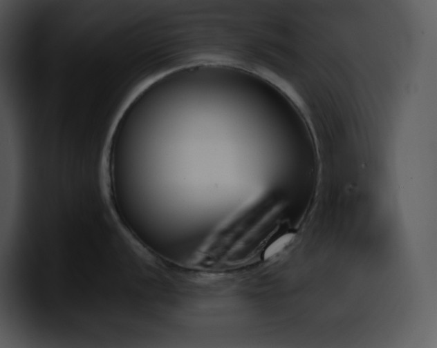 X0000100411056200806061337