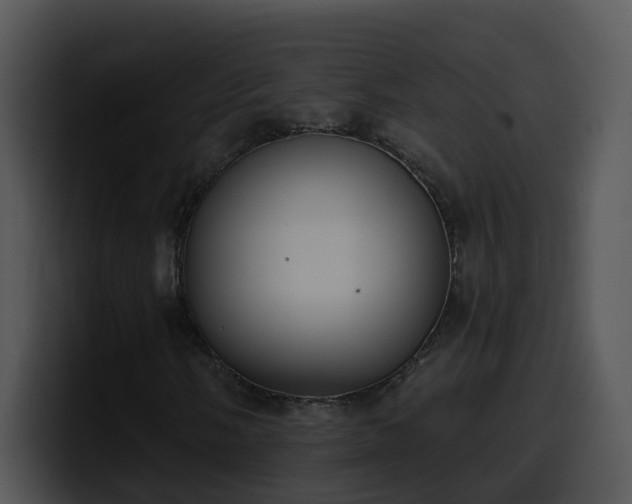 X0000100411058200806061337