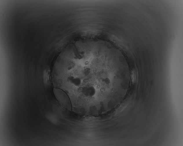 X0000100411059200806061337