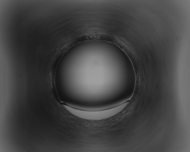 X0000100411060200806061337