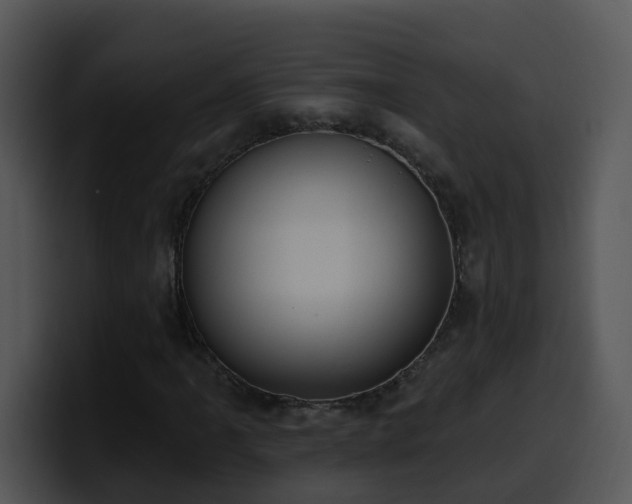 X0000100411061200806061337