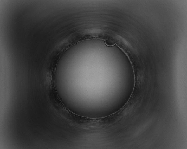 X0000100411062200806061337