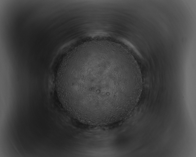 X0000100411063200806061337