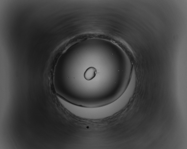 X0000100411064200806061337