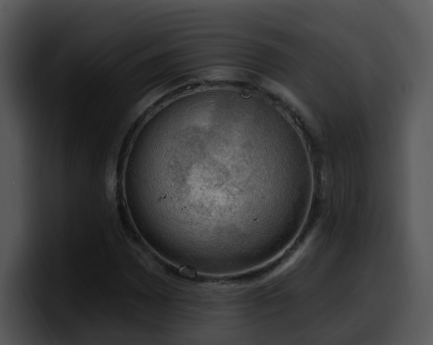 X0000100411065200806061337