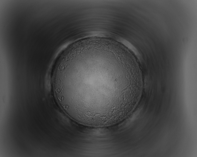 X0000100411067200806061337