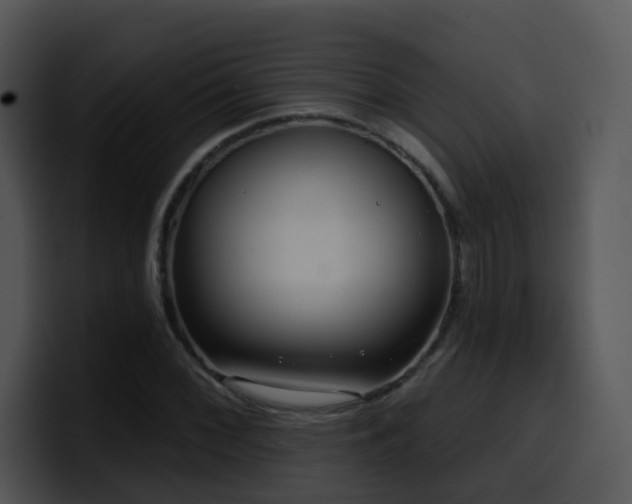 X0000100411068200806061337