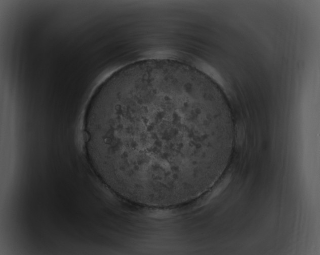 X0000100411071200806061337