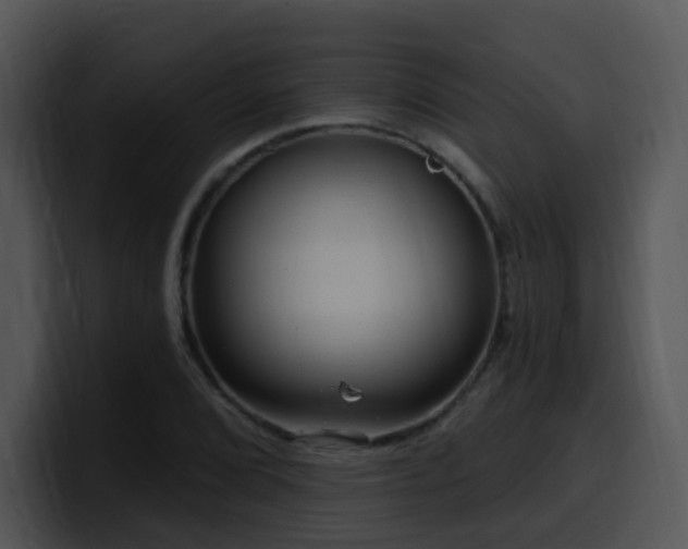 X0000100411072200806061336