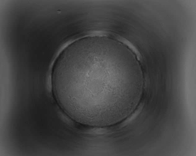 X0000100411075200806061336