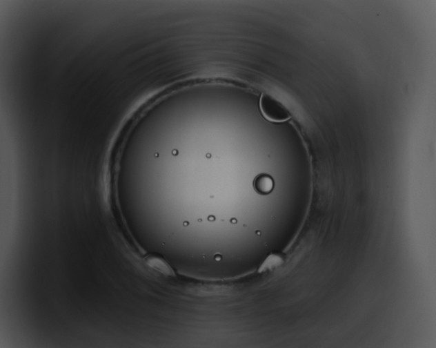 X0000100411076200806061336