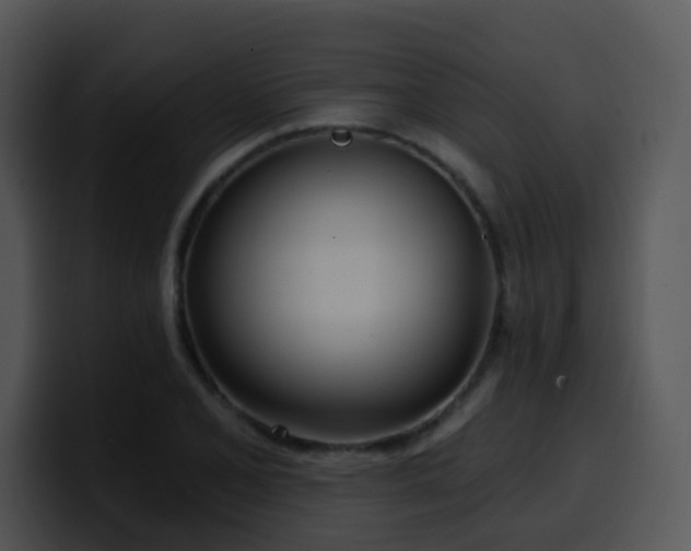 X0000100411077200806061336