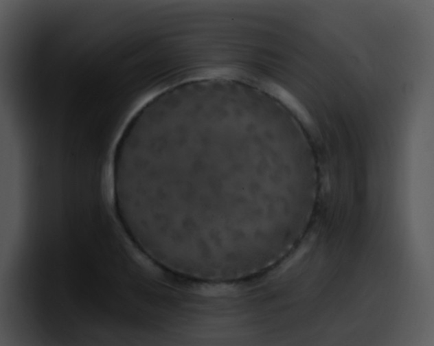 X0000100411079200806061336