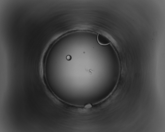 X0000100411080200806061336