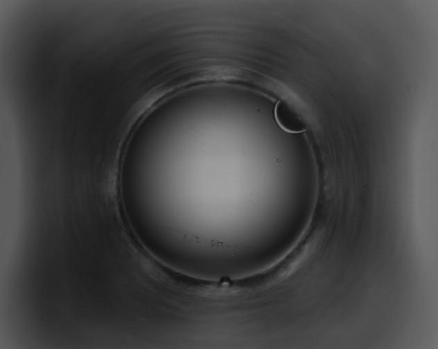 X0000100411081200806061336