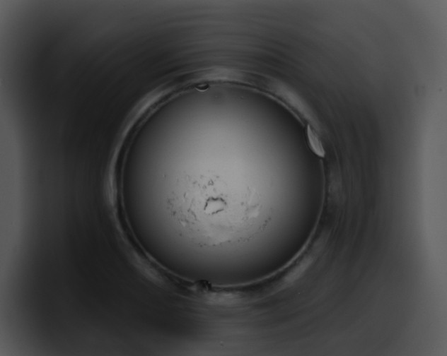 X0000100411082200806061336