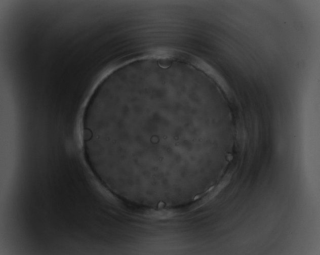 X0000100411083200806061336