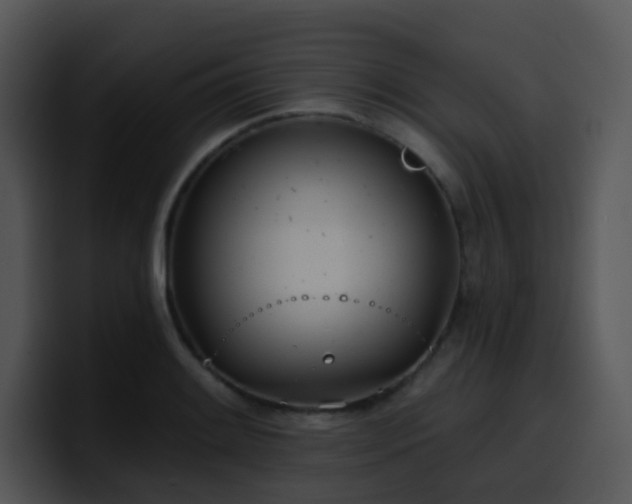 X0000100411084200806061336