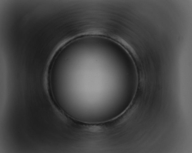 X0000100411085200806061336