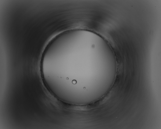 X0000100411086200806061336