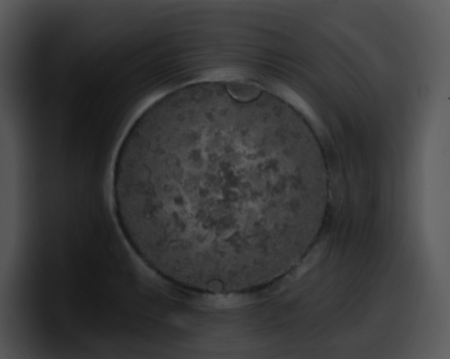 X0000100411087200806061336