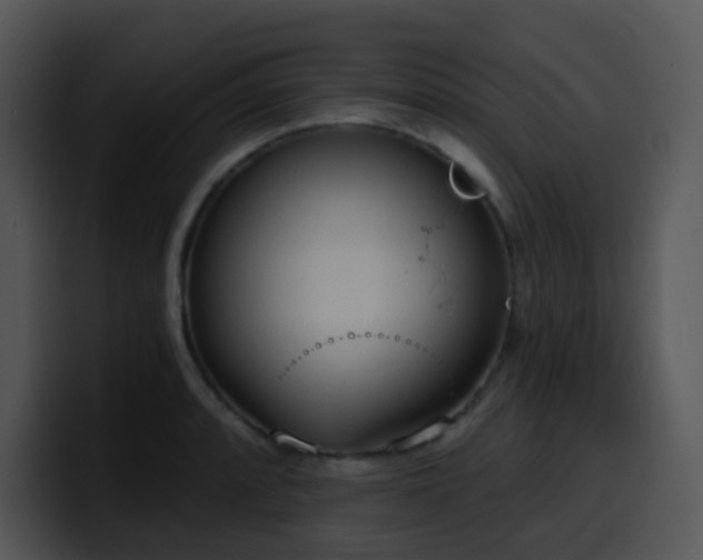 X0000100411088200806061336