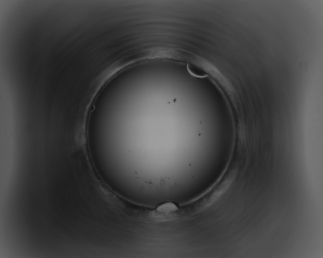 X0000100411089200806061336