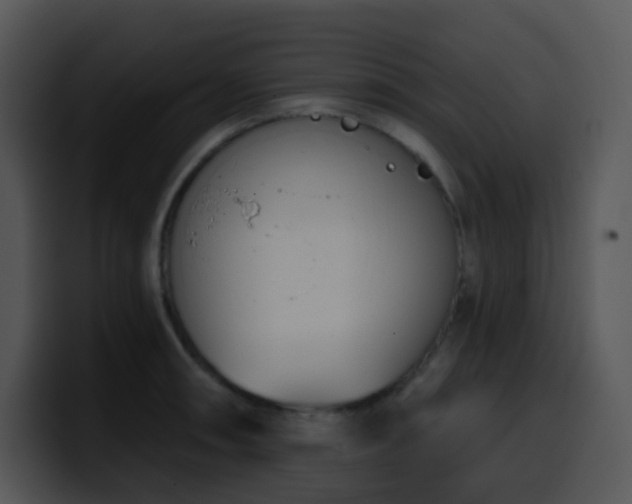 X0000100411090200806061336