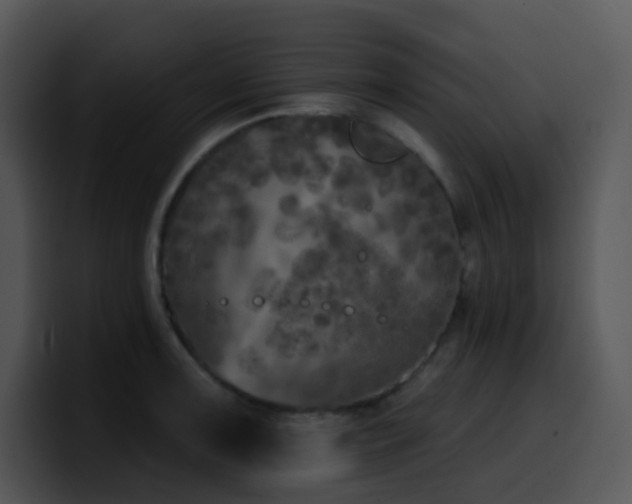 X0000100411091200806061336