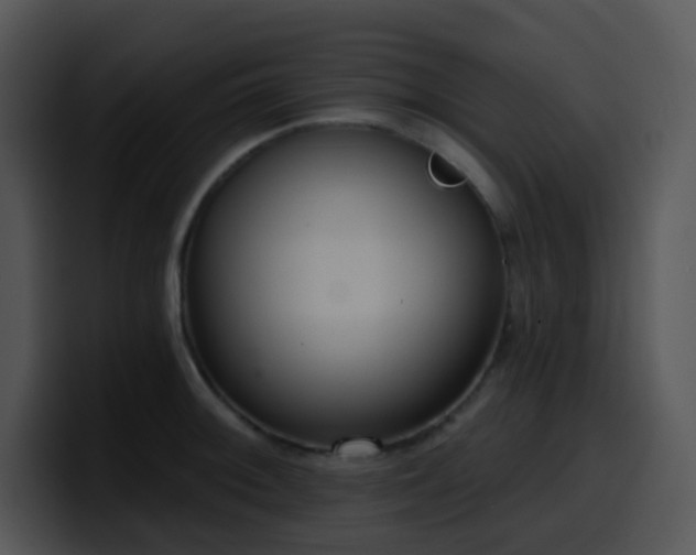 X0000100411092200806061336