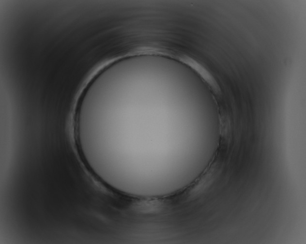 X0000100411094200806061336