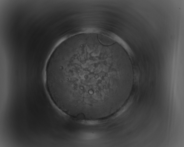 X0000100411095200806061336