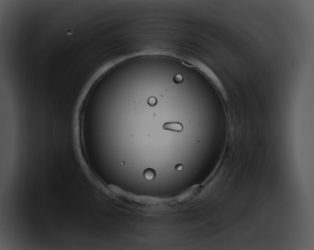 X0000100411096200806061336