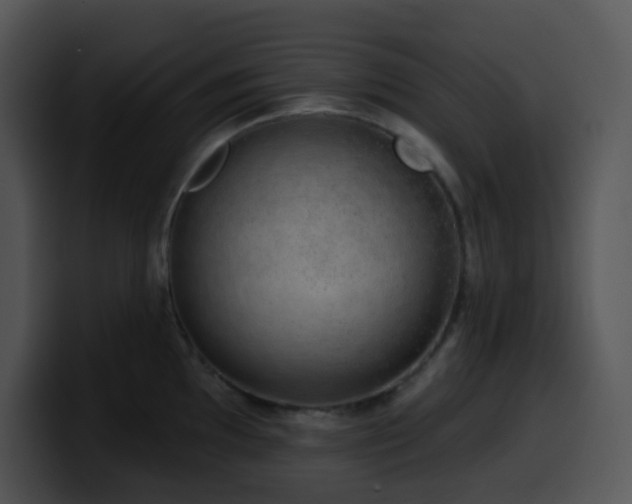 X0000100411097200806061336