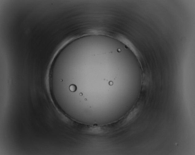 X0000100411098200806061336