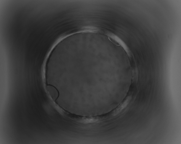 X0000100411099200806061336