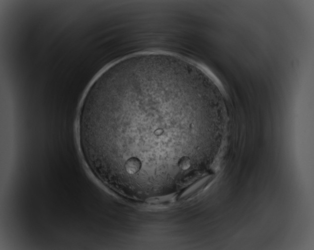 X0000100411100200806061336