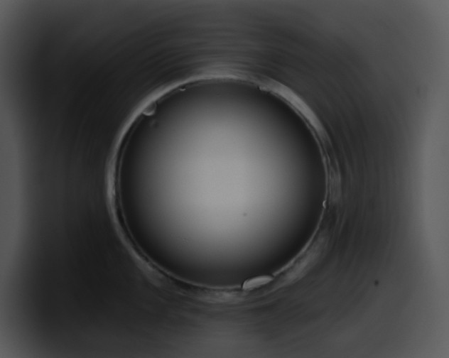 X0000100411101200806061336