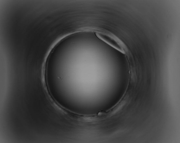 X0000100411102200806061336