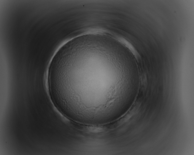 X0000100411103200806061336