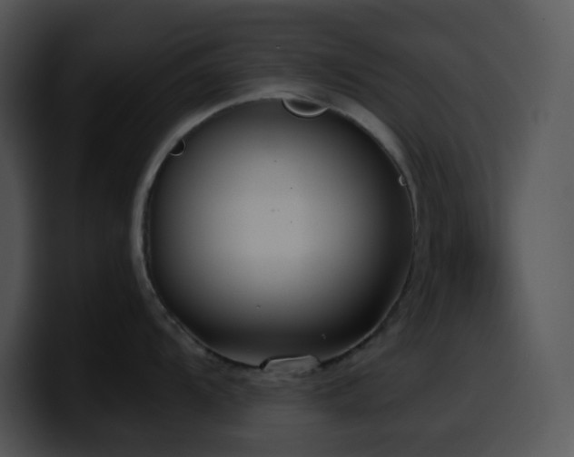 X0000100411104200806061336