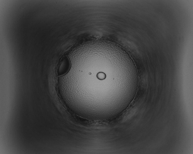 X0000100411105200806061335